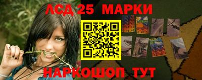 гидропоника Заводоуковск