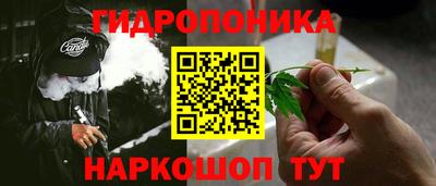 гидропоника Заводоуковск